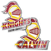 Desert Cactus Calvin University Sticker Knights Vinyl Decal Laptop Water Bottle Car Scrapbook (4 Inch Set V1)
