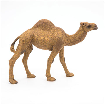 Papo - Realistic Dromedary Figure - Ages 3+ - Wild Life Collection - Educational Play Desert Animals - Gift Idea Toy for Girls and Boys