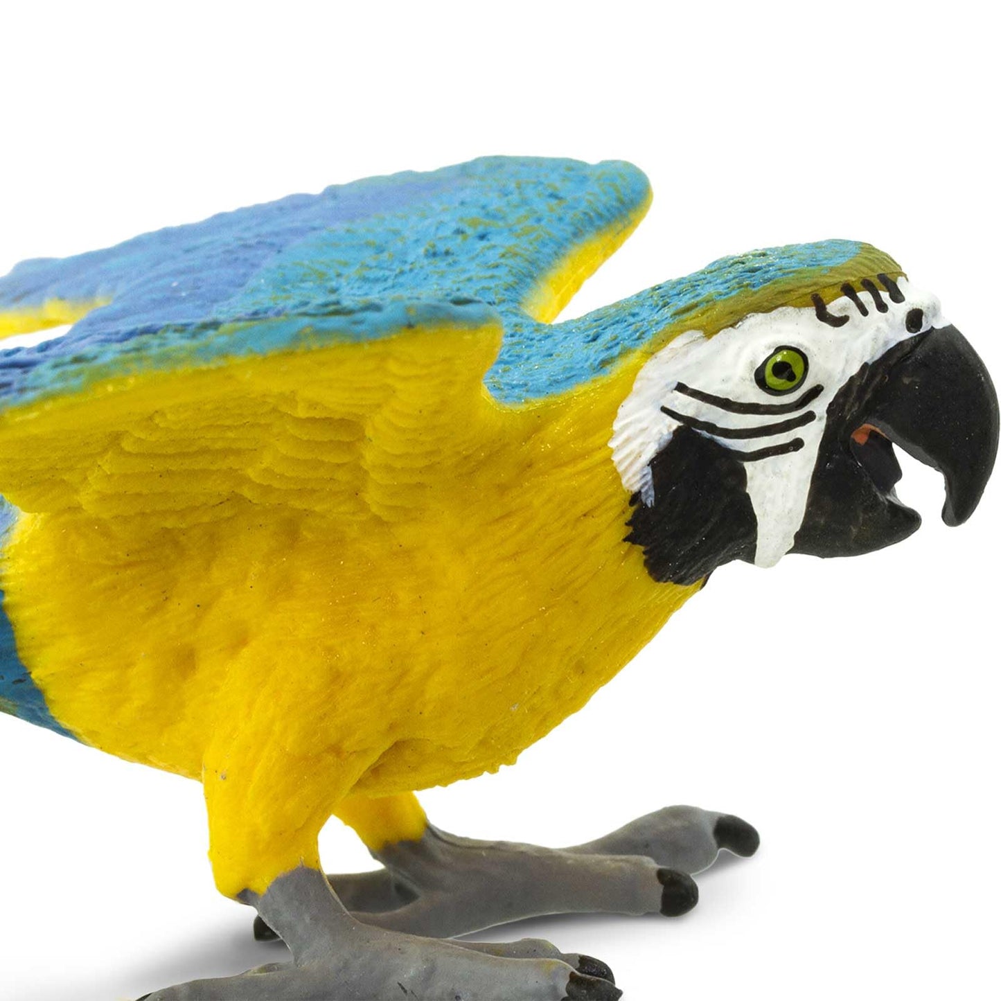 Safari Ltd. Blue and Gold Macaw Figurine - Detailed 4.5" Plastic Bird Figure - Educational Toy for Boys, Girls, and Kids Ages 3+