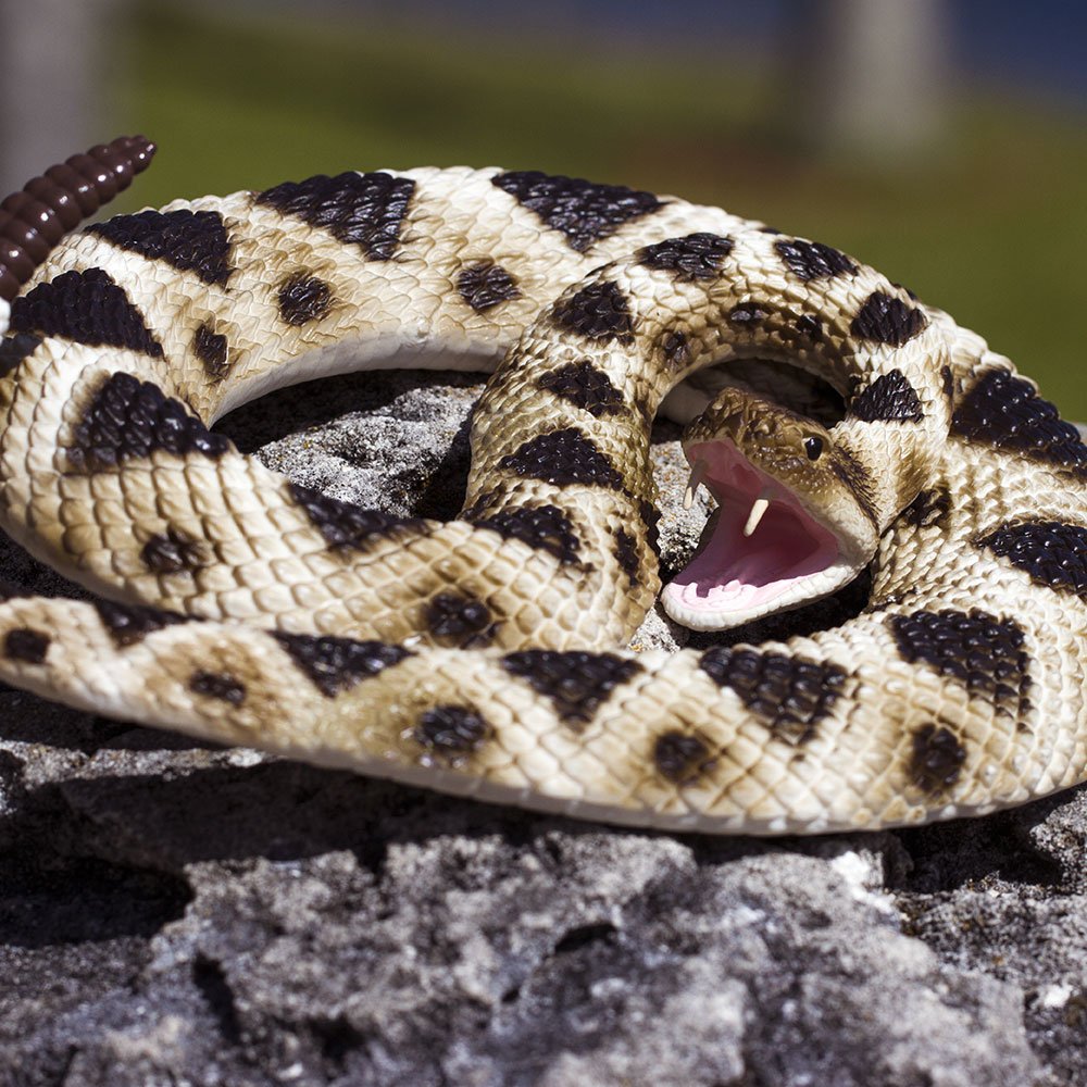 Safari Ltd. Eastern Diamondback Rattlesnake Figurine - Realistic 40" Model Figure - Educational Toy for Boys, Girls, and Kids Ages 18M+