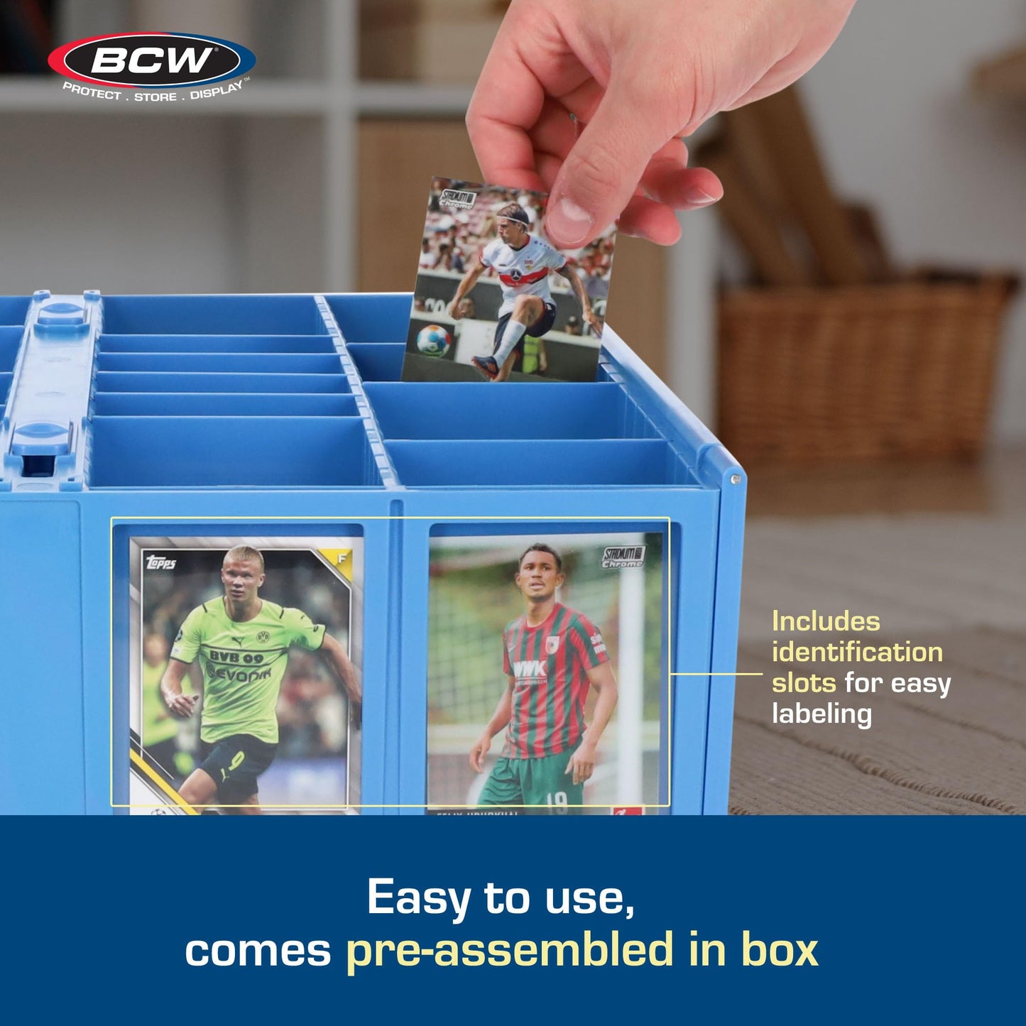 BCW Collectible Card Bin - Blue | Holds 3200 Cards | Includes 4 Dividers | Storage for Pokémon, MTG & Sports Cards