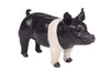 Little Buster Toys Champion Hampshire Show Pig, 1/16th Scale