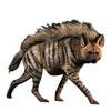 1/6 Africa Striped Hyaena Figure Realistic Educational Hyaenidae Animal Model Resin Collector Home Decoration Birthday Gift