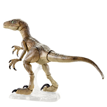 Jurassic World Toys Amber Collection Velociraptor Dinosaur Figure Collectible Toy 6-in Scale, Posable Joints, Authentic Look & Stand for 8 Years Old &