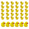 HAMIYELL Pack of 36 Tiny Ducks Little Plastic Duck Mini Resin Ducks for Garden Decorations, Dollhouse Miniatures, Crafts Ornaments(Yellow)