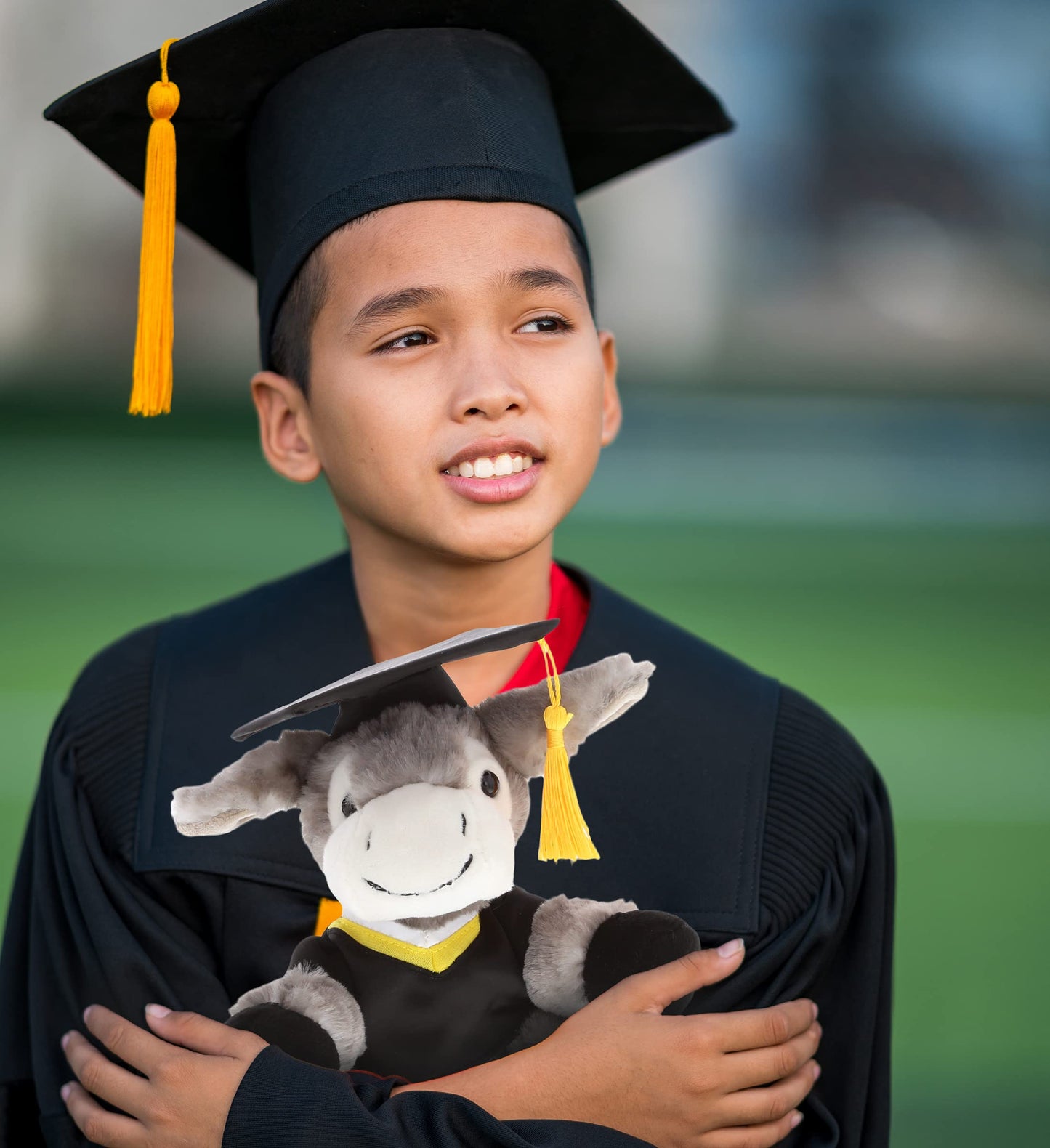 DolliBu Lying Grey Donkey Graduation Plush Toy - Soft Graduation Stuffed Animal Dress Up with Gown & Cap with Tassel Outfit and with Personalization