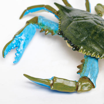 Safari Ltd. Blue Crab Figurine - Realistic 7" Model Figure - Educational Toy for Boys, Girls, and Kids Ages 18M+