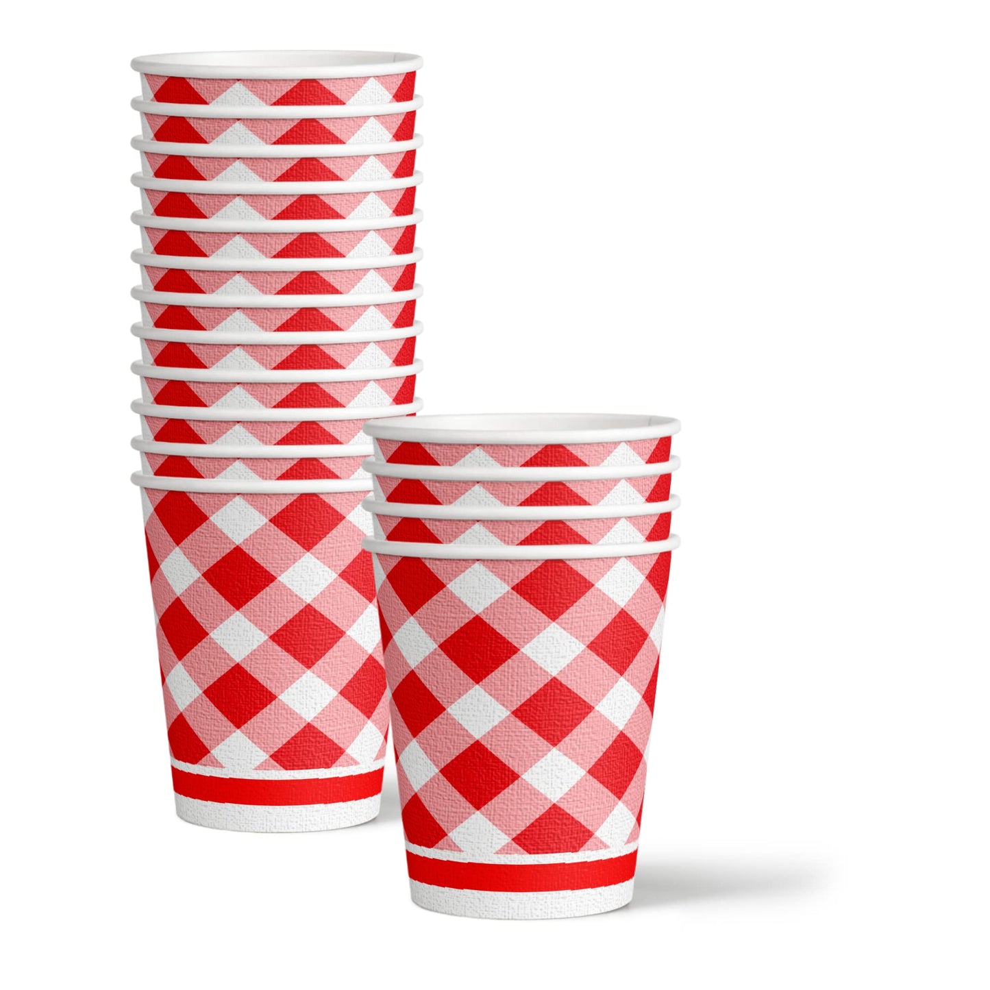 Let's BBQ Red Gingham Birthday Party Supplies - 64 Piece Summer Barbeque Picnic Tableware Set Includes Large 9" Dinner Plates and 8" Dessert Paper