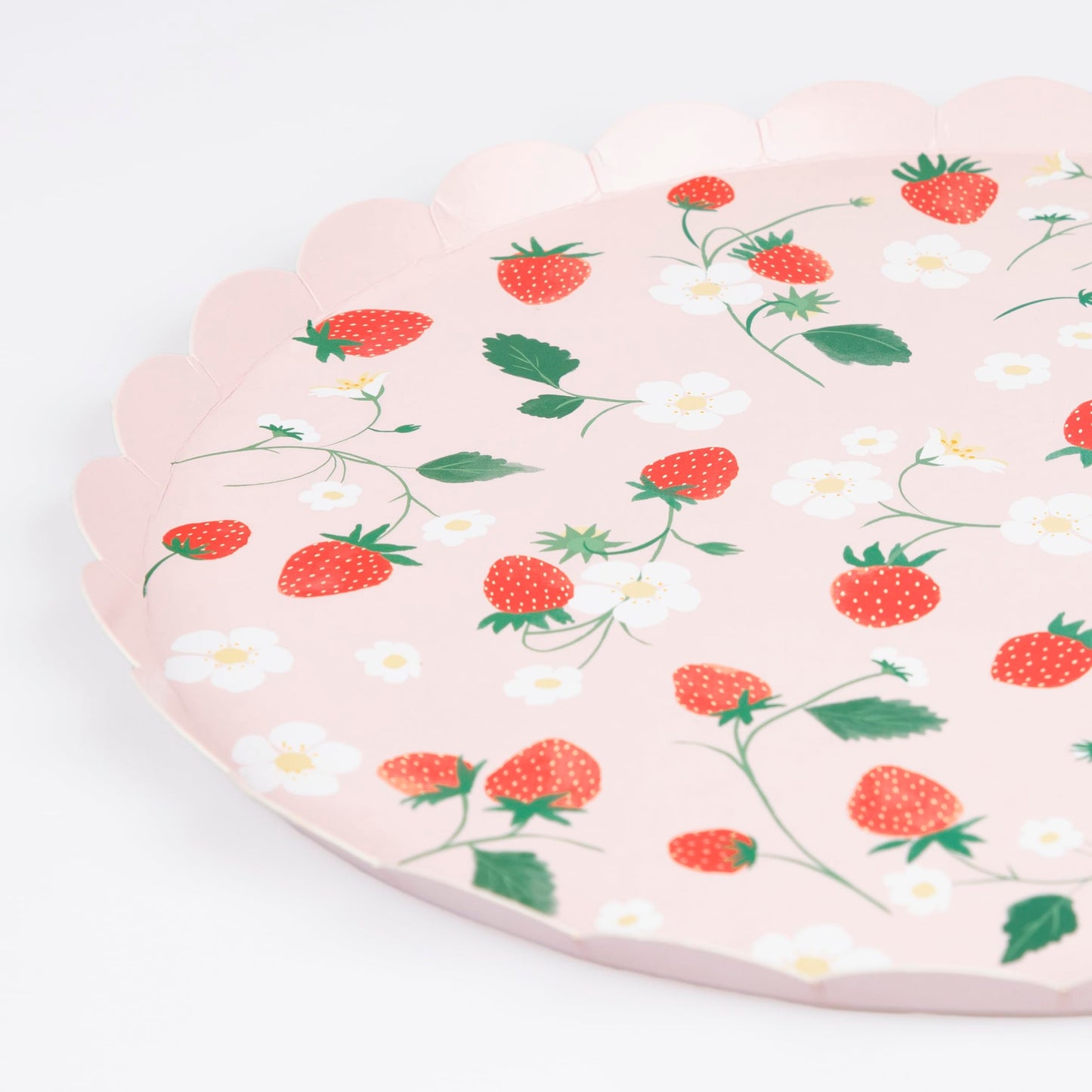 Meri Meri Cute Picnic Plates (Pack of 8), Disposable Paper Plates