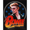 C&D Visionary David Bowie Sticker Action Figure