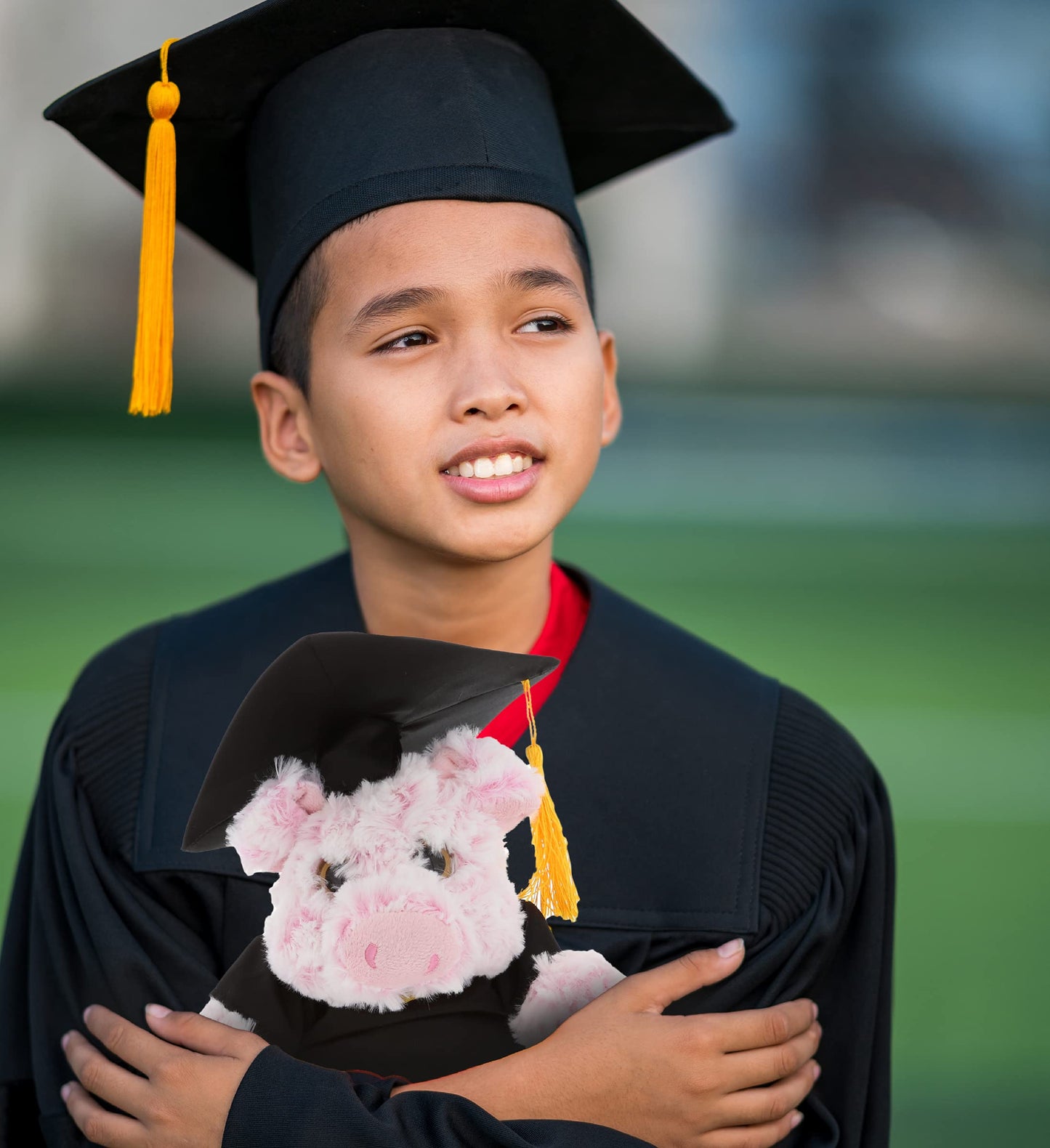 DolliBu Sitting Pig Graduation Plush Toy - Soft Graduation Stuffed Animal Dress Up with Gown & Cap with Tassel Outfit - Gift with Personalization - 9"
