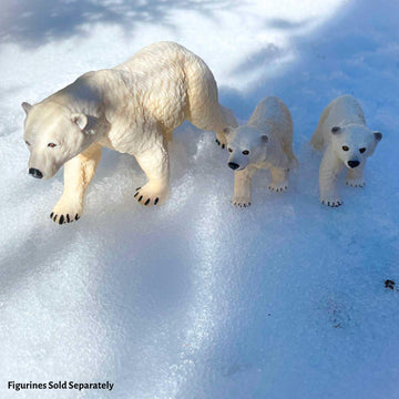 Safari Ltd. Polar Bear Cub Figurine - Detailed 2.75" Plastic Model Figure - Fun Educational Play Toy for Boys, Girls & Kids Ages 1+
