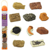 Safari Ltd. Ancient Fossils TOOB - Figurines: Dino Footprint, Giant Crab, Ammonite, Raptor Claw, T-Rex Tooth, Frog Skeleton, Sea Scorpion & More