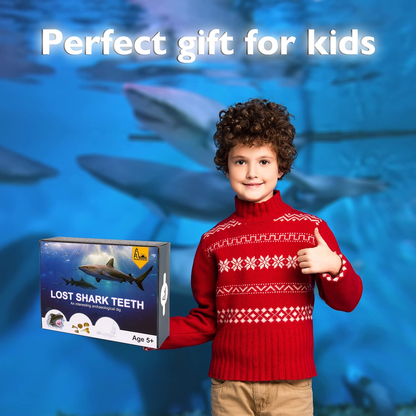 RRIBOUDWAN Shark Tooth Dig Kit, Shark Tooth Excavation Fossil, Shark Science Toy Gift for Kids Age 5+ for Holiday Birthday