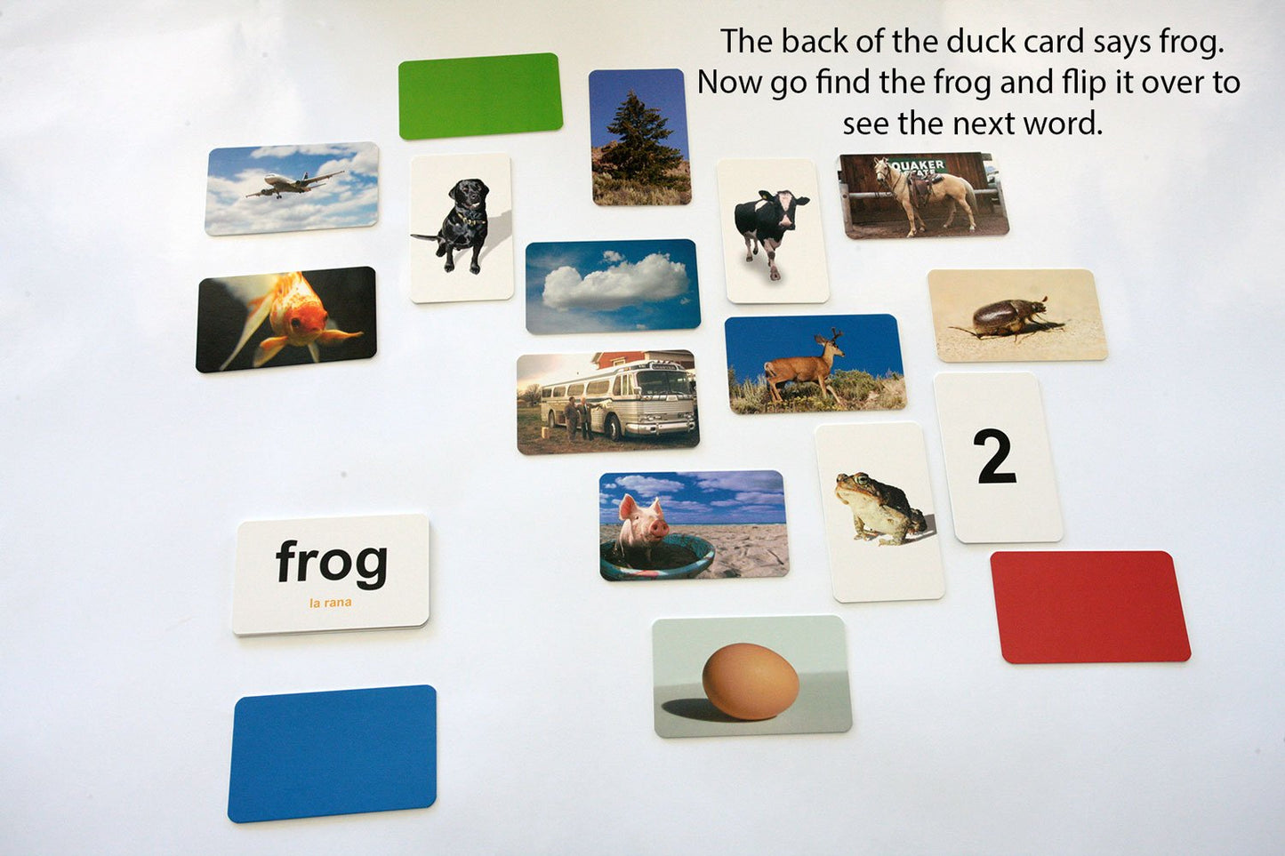 Flash of Brilliance First Word Game One-Syllable Words for Early Readers