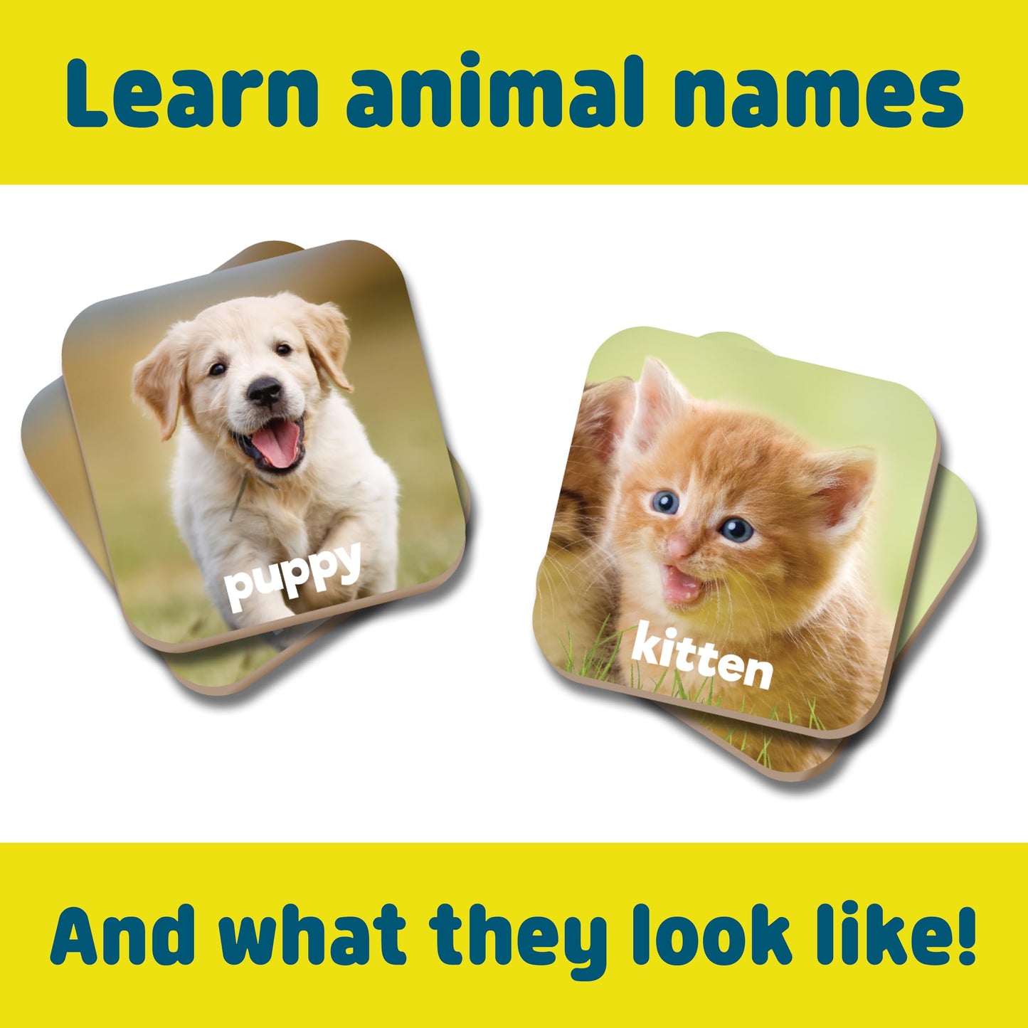 Chuckle & Roar Baby Animals Matching Memory Game for Kids Ages 3+ - Preschool Concentration Board Game for Toddlers, Cute Animal Learning Game