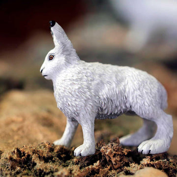 Safari Ltd. Arctic Hare Figurine - Detailed 2.5" Plastic Model Figure - Fun Educational Play Toy for Boys, Girls & Kids Ages 3+