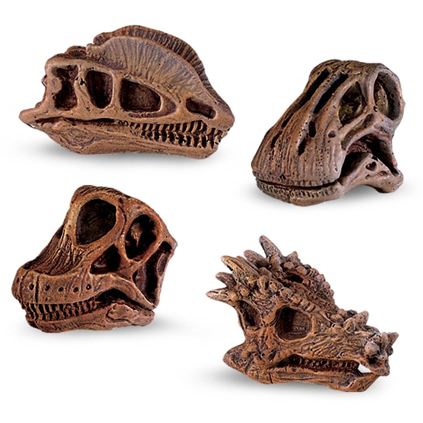 Safari Ltd Dinosaur Skulls TOOB - 11 Mini Figurines Including Velociraptor, Brachiosaurus, Oviraptor, Triceratops, Tyrannosaurus Rex and More