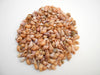 1/2 lb (1000+) Beautiful Tiny Peach Melissa Mini Shells Seashells (1/4"-1/2") Beach Craft Hobby Nautical