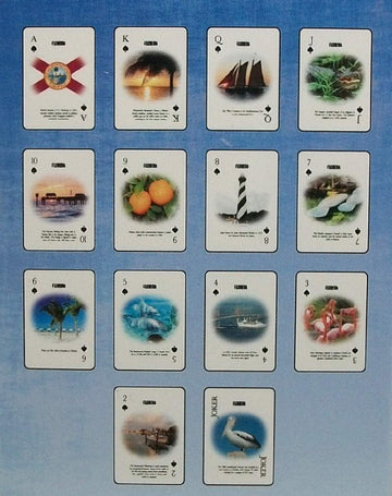 Florida Souvenir Playing Cards