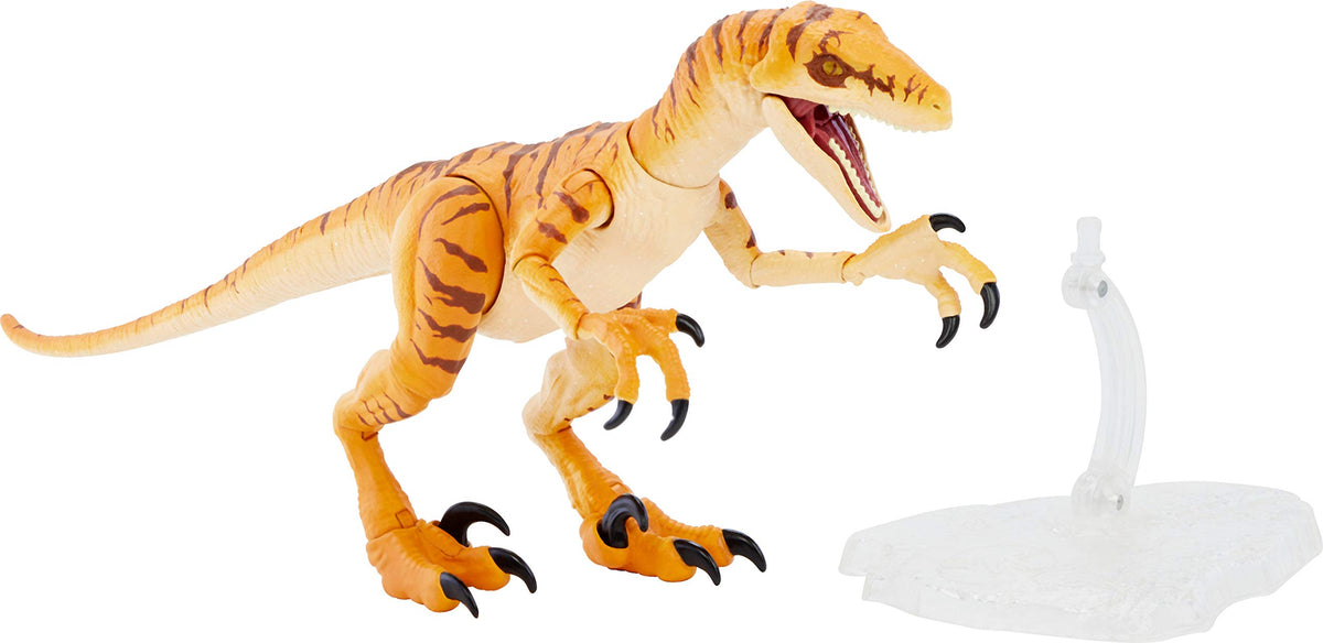 Mattel Jurassic World Toys Amber Collection Tiger Velociraptor 6-in Dinosaur Action Figure, Movie-Authentic Detail, Movable Joints & Figure Display