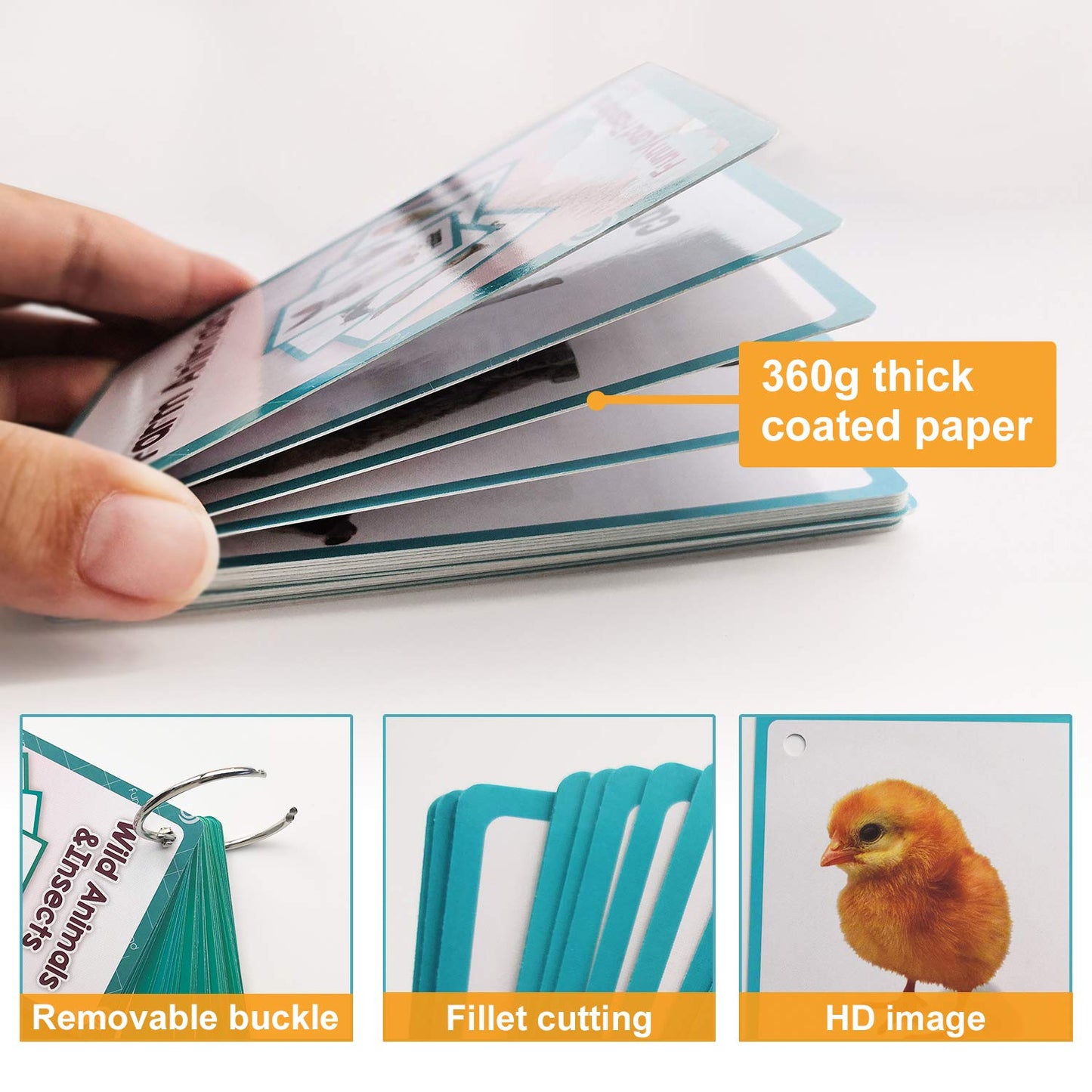 Zwttey 18PCS/Set Farm Animals Kids Gifts English Flash Cards Pocket Card Educational Learning Baby Toys for Children Pre-Kindergarten
