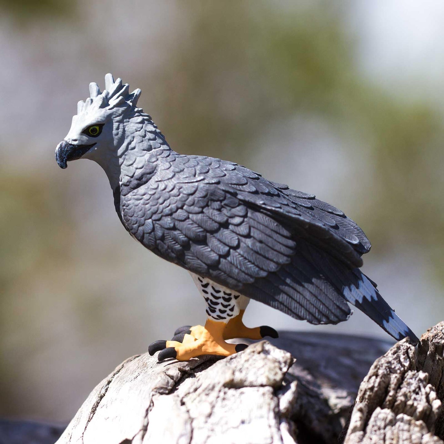 Safari Ltd. Harpy Eagle Figurine - Detailed 3" Plastic Model Figure - Fun Educational Play Toy for Boys, Girls & Kids Ages 3+