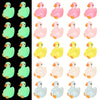 Toyosport 200 Pcs Glow in The Dark Goose Figurines, Mini Cartoon Resin Gooses, Multicolored Fairy Garden Terrarium Animal Decorations, Cute Tiny