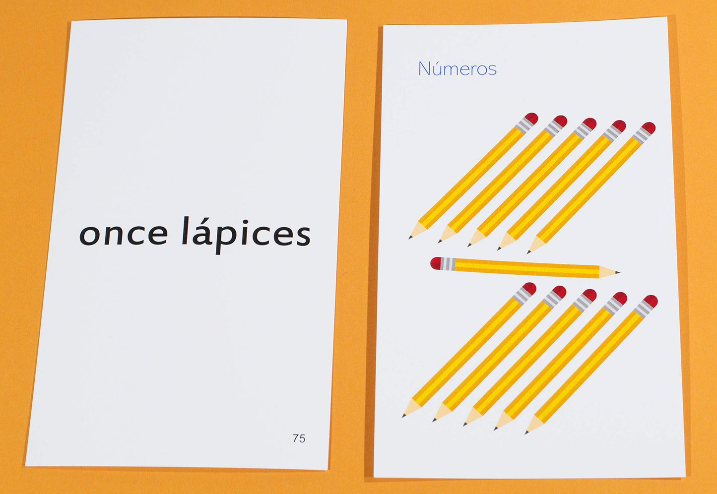Pat's Flash Cards 192 Spanish Beginning Vocabulary Flash Cards with Original Artwork - For All Ages
