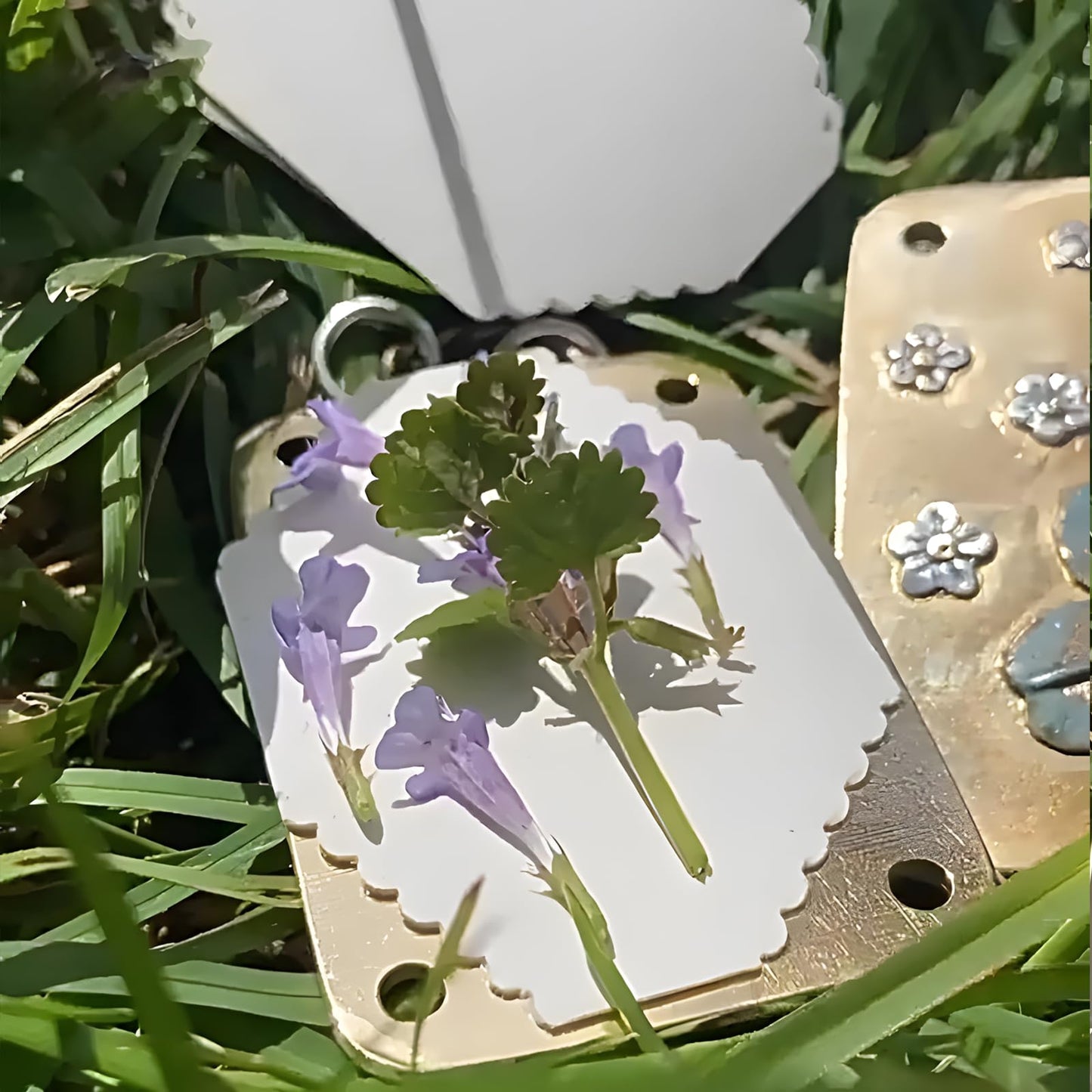 NIXNEHC Micro Mini Flower Press Kit, Miniature Flowers Pressing, Small Pocket Sized Metal Flower Press, DIY Pressed Plant Preservation Kit for Arts