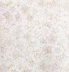 Timeless Treasures Fabrics Beach Dreams, Take Me Away Packed Sand Dollars On Beach Sand