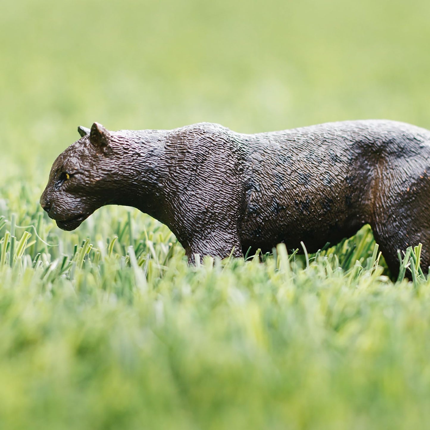 Safari Ltd. Black Panther Figurine - Realistic 5" Wildlife Figure - Educational Toy for Boys, Girls, and Kids Ages 3+
