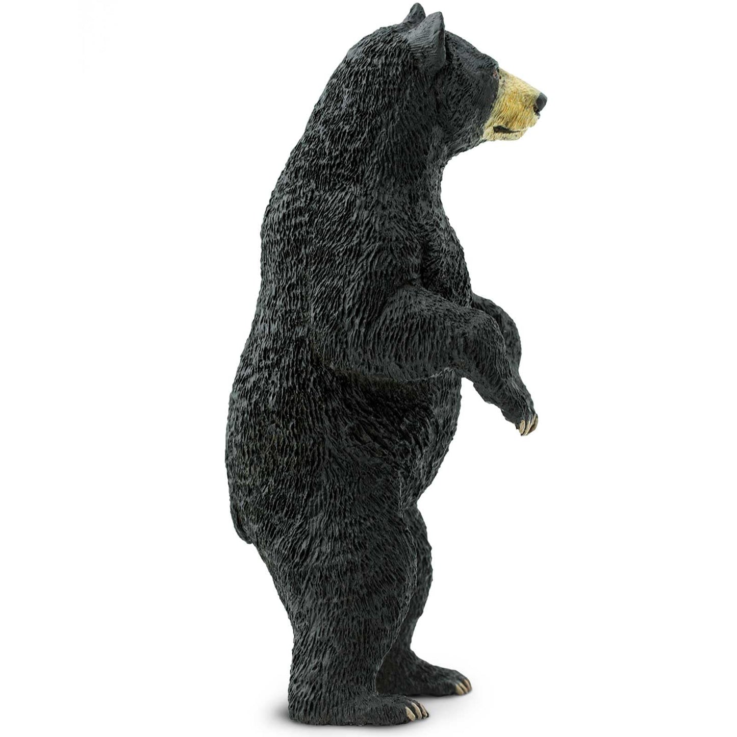 Safari Ltd. Standing Black Bear Figurine - Lifelike 4" Model Figure - Educational Toy for Boys, Girls, and Kids Ages 3+