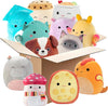 Squishmallows Mystery 2-Pack 10 Inch Plush Gift Set- Official Jazwares 2026 Surprise Stuffed Animals Soft Squishy Collectible Toys for Kids, Girls