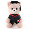 Furvana Graduation Gifts Fox Stuffed Animal - 10" Cute Fox Plush Toy with Graduation Cap, Gown & Diploma, Inspirational Keepsake for Elementary, High