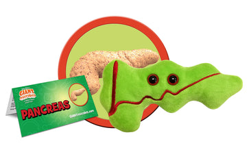 GIANT MICROBES Pancreas Plush, Pancreas Stuffed Toy, Pancreatic Cancer Awareness, Funny Diabetic Gifts, Diaversary Gift, Diabetes Gift, Endocrinology