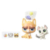 Littlest Pet Shop Pet Pawsabilities Sour Puss and Chinchilla Doll