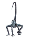 NECA - Aliens vs Predator (Arcade Appearance) - 7" Scale Action Figures - Arachnoid