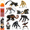 Safari Ltd. Primates TOOB - Figurines of Various Monkeys - Fun Educational Play Toy for Boys, Girls & Kids Ages 3+