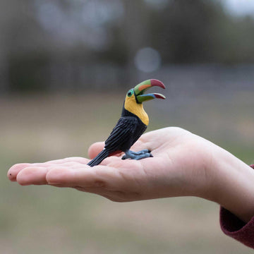 Safari Ltd. Toucan Figurine - Lifelike 2.75" Bird Figure - Educational Toy for Boys, Girls, and Kids Ages 3+