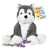Hayes Husky - Microwavable & Weighted Plush Stuffed Animal - Heated Plushie for Warmth - Cute, Soft, Cozy Toy for Adults & Children (Boys, Girls