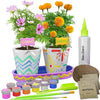 DD Old Paint and Plant kit