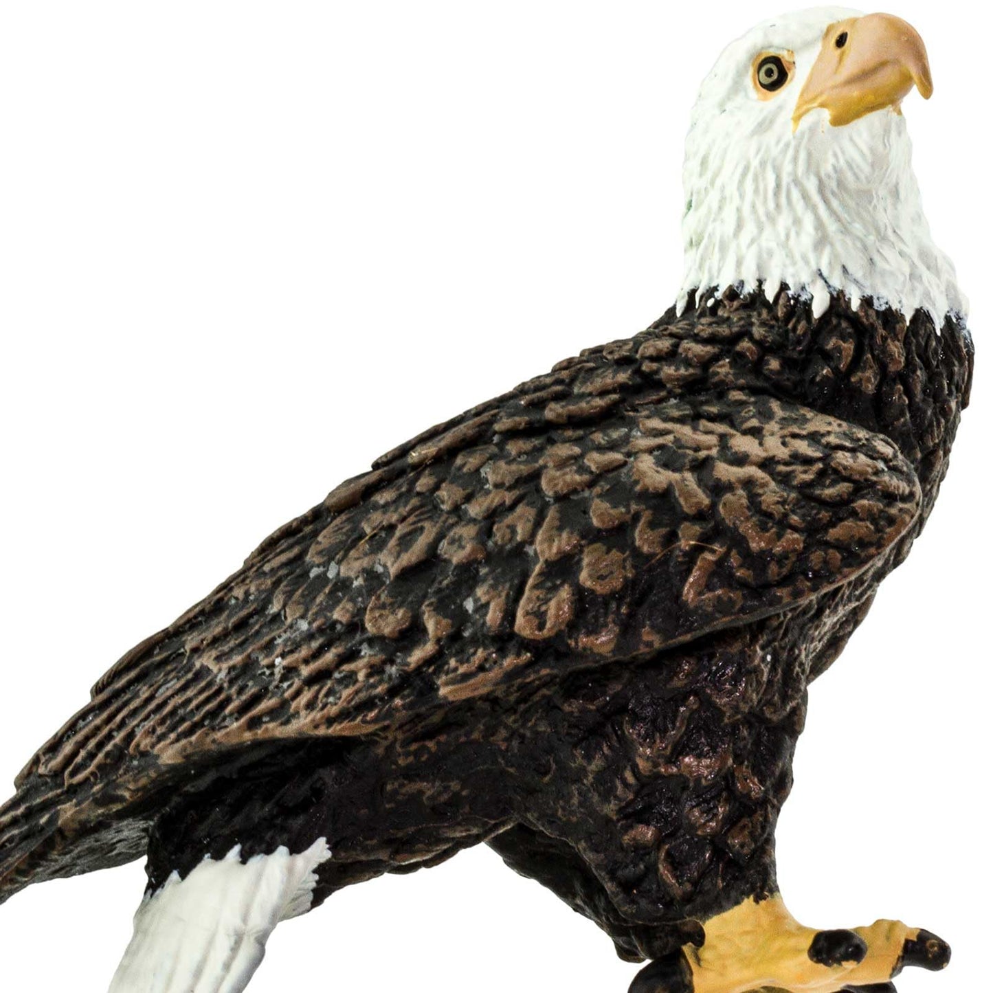 Safari Ltd. Bald Eagle Figurine - Realistic 2.4" Bird Figure - Educational Toy for Boys, Girls, and Kids Ages 3+