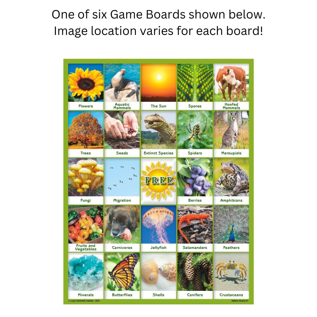 Nature Bingo Educational Game - Fun Learning for Kids & Families with Picture Boards & Cards