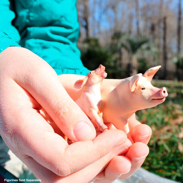 Safari Ltd. Sitting Piglet Figurine - Lifelike 1.75" Model Figure - Educational Toy for Boys, Girls, and Kids Ages 3+