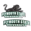 Desert Cactus Plymouth State University Sticker Panthers Vinyl Decal Laptop Water Bottle Car Scrapbook (4 Inch Set V1)