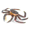 JOKFEICE Animal Figures Realistic Plastic King Crab Science Project, Learning Educational Toys, Birthday Gift, Cake Topper for Kids Toddlers