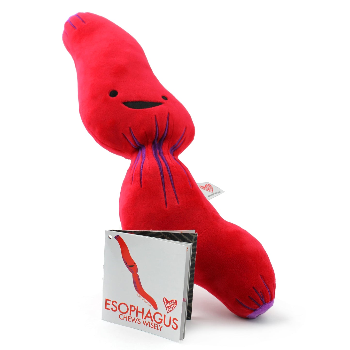 I Heart Guts Esophagus Plush - 14" Cute Educational Organ Toy for GERD & Dysphagia - Funny Get Well Gift for Nurse Patients & Medical Student STEM