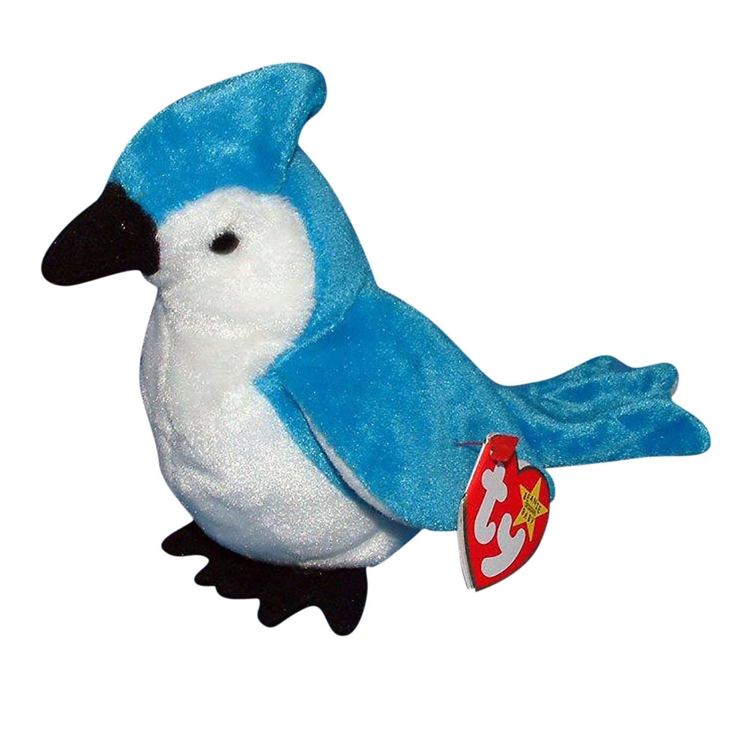 TY Beanie Baby - ROCKET the BlueJay Bird