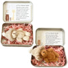 Roioiow 2 Pieces My Little Worry Bear in Tin Box- Plush Teddy Pocket Hug with Greeting Cards for Support, Relationship Gifts for Friends, Colleagues
